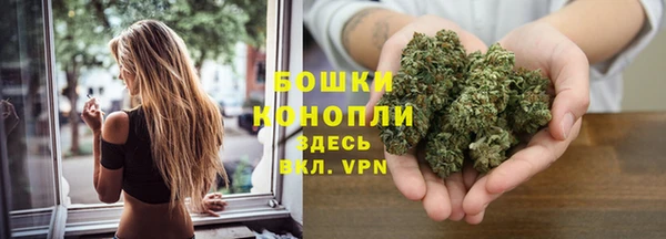 индика Карталы