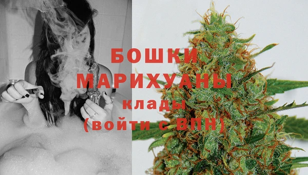 индика Карталы