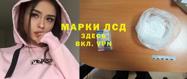 индика Карталы