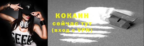 СК Касимов