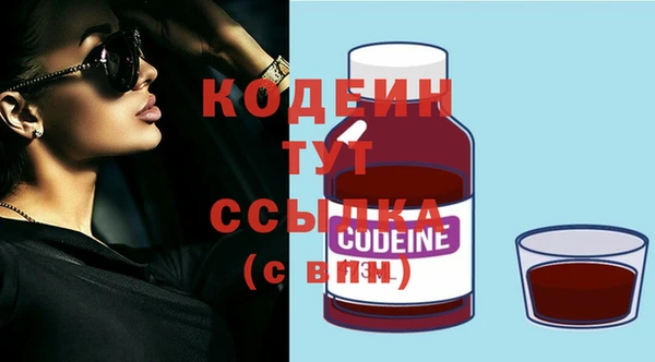 индика Карталы