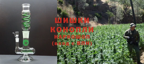 индика Карталы