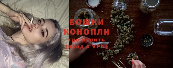 индика Карталы