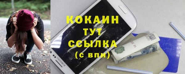 индика Карталы