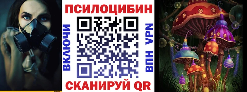 Купить где  Будённовск  Псилоцибиновые грибы Cubensis 